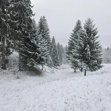 Altundeva La Munte * Podu Dimbovitei