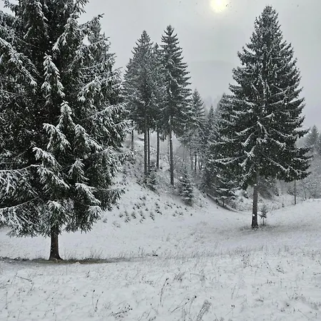 Altundeva La Munte Podu Dimbovitei